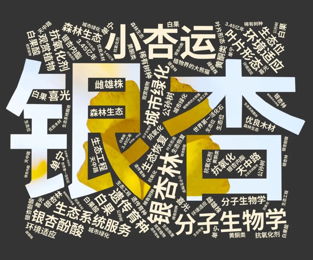 扮靓校园展现社团风采，上海天山校园换上了数字化“新装”  第15张