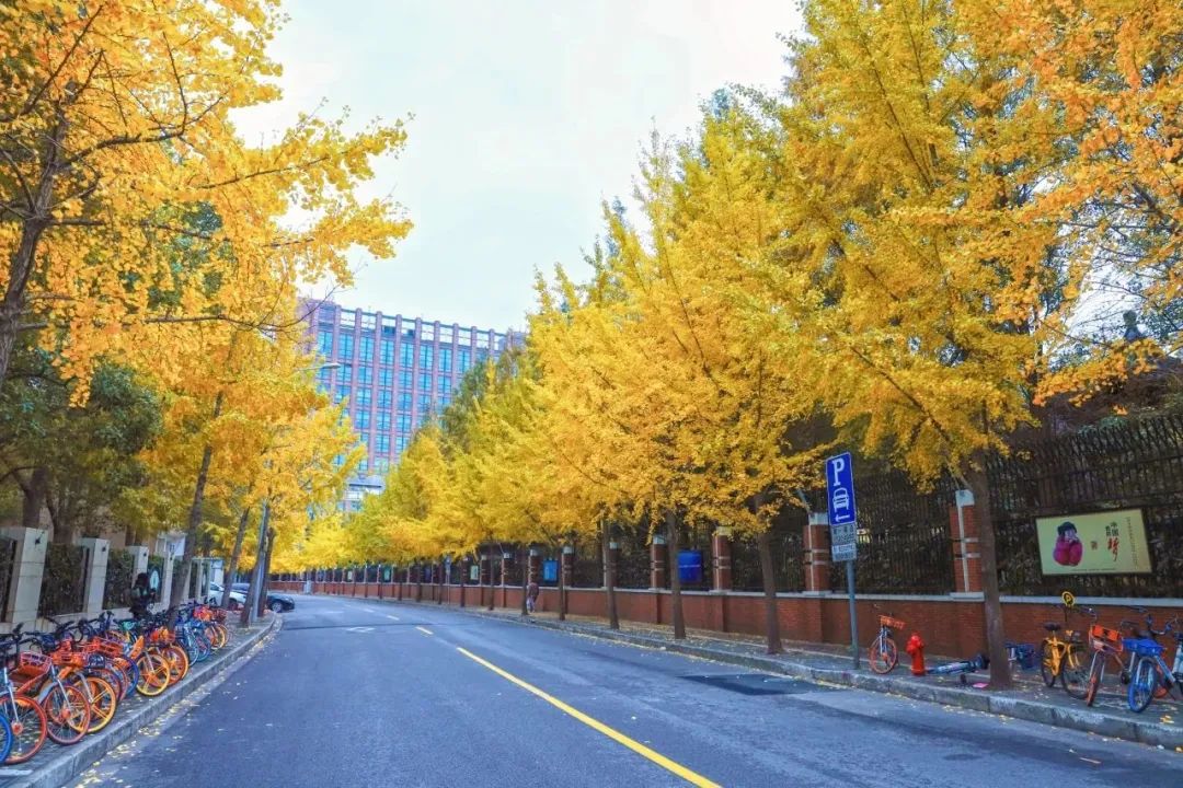 扮靓校园展现社团风采，上海天山校园换上了数字化“新装”  第21张