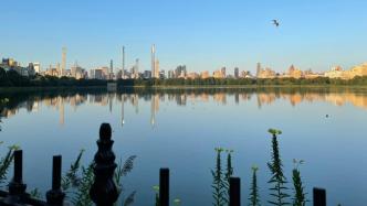 穿透文化、荒野與歷史的棱鏡，紐約中央公園就是微縮版的美國