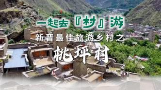 一起去“村”游丨新晋最佳旅游乡村之四川桃坪村