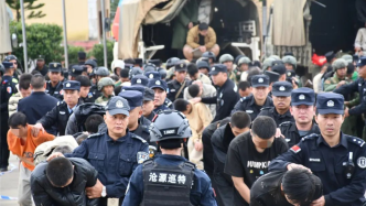 已抓獲5.3萬余人！警方打擊緬北電詐犯罪行動重要戰果回顧