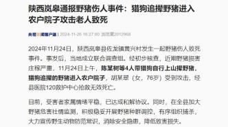 陜西嵐皋通報野豬傷人事件：獵狗追攆野豬進入農戶院子攻擊老人致死