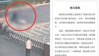 保安打死流浪狗，绵阳开放大学致歉：解聘涉事安保