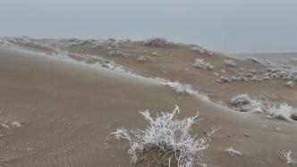 塔克拉玛干沙漠迎来今冬首场降雪