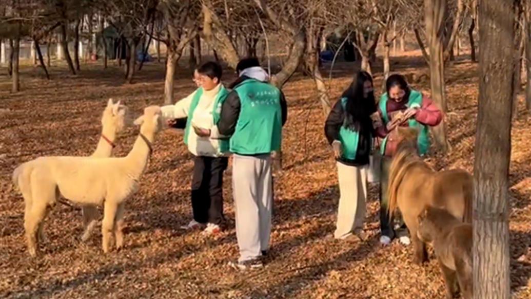 考研在即，山東一高校“邀請”小動物進校園為考生減壓