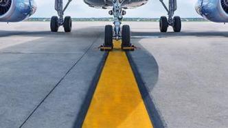 西藏航空一航班遭鳥擊返航，官方通報：安全落地，無人員受傷
