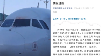 西藏航空一航班起飞后返航：起飞时遇鸟击，无人员伤亡