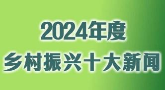 中央广播电视总台2024年度乡村振兴十大新闻