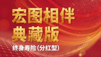 分红险新星，宏图相伴典藏版助力财富增长