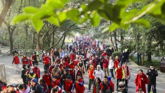 直播丨佘山新年登高望遠，我們頂峰相見