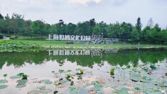 上海“一江一河”濱水空間2024年度到訪超3億人次，同比增10%