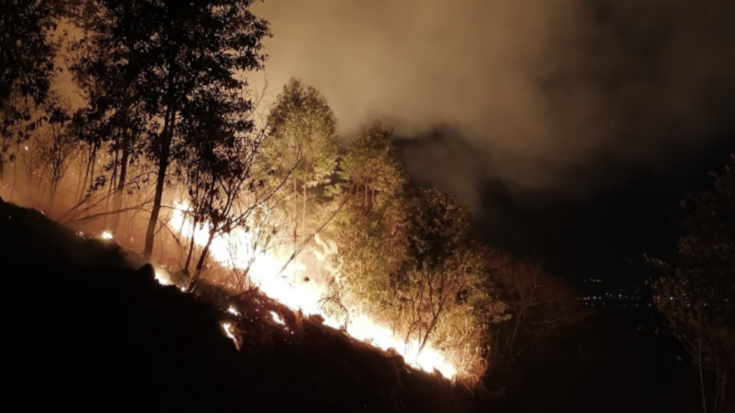 广东肇庆高要区发生山火，暂无人员伤亡