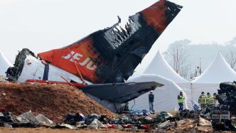 韓媒：韓國空難客機兩側(cè)發(fā)動機發(fā)現(xiàn)鳥羽
