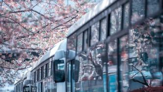 兩會之聲｜委員建議優(yōu)化公交運營：使用小型車，提升覆蓋密度