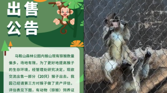 出售20只獼猴最低價三千元，武漢一動物園回應：數量過多，不對個人出售