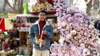 朱頂紅、仙客來等年宵花上市，啥花最走俏？來上海邂逅“花樣”年味