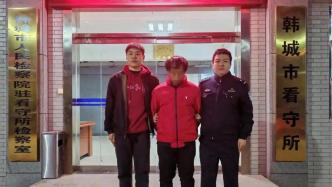 團伙盜伐他人祖墳柏樹，凌晨犬吠引出關(guān)鍵線索