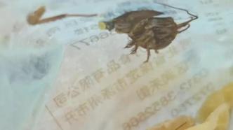 門店回應“口袋零食發現蟑螂”：可能開封后跑進去