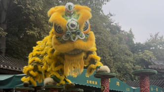 來佛山看醒獅，感受真雄獅少年