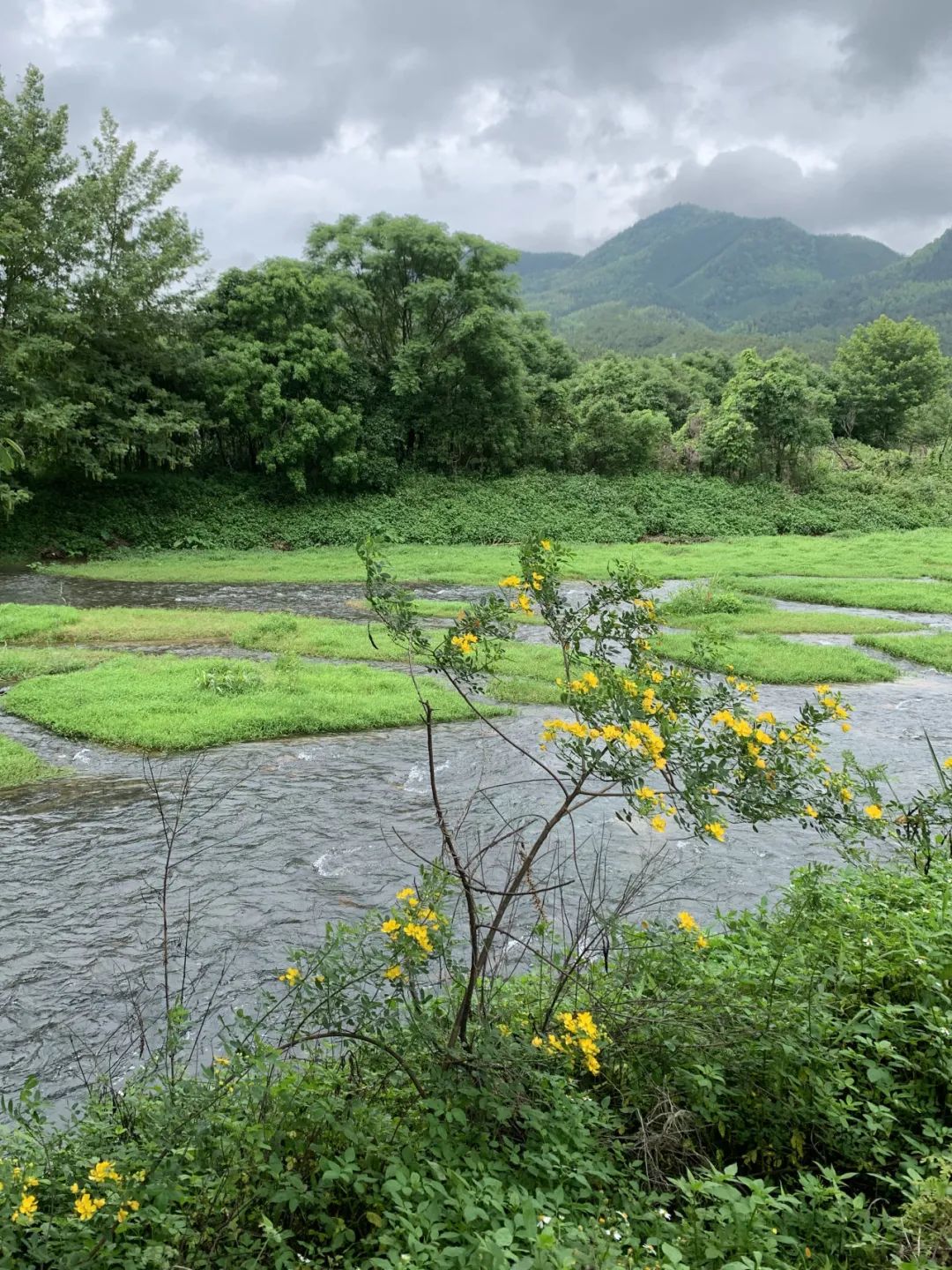 纪念｜归家之旅——石虎先生与山下村