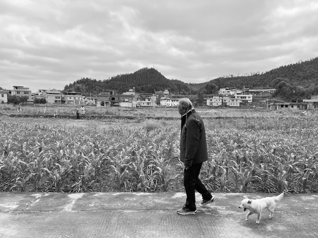 纪念｜归家之旅——石虎先生与山下村