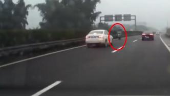 電動車高速上逆行轎車避讓不及撞上隔離帶，四川交警：已擋獲涉事車主