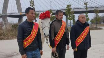 小白龍戴上大紅花！救人的“白龍馬”與主人接受見義勇為表彰