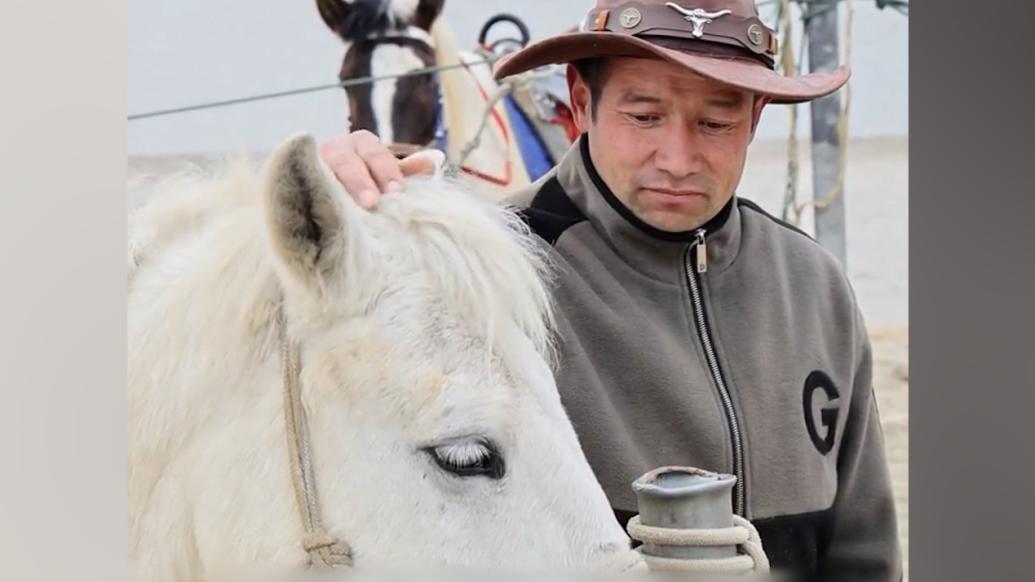 湖北仙桃擬為下水救人白馬設立雕像，主人依立拜：白馬永遠在我心里