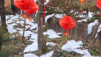 馬上評｜“棉花扮雪”的奇葩“創意”是怎么出爐的