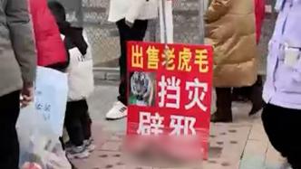 南陽一野生動物園賣老虎毛？官方：保潔員撿虎毛私自售賣