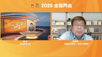 兩會(huì)聲音丨“霸總”微短劇硬控中老年？張頤武：讓好作品趕走壞作品