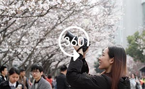 360°全景|申城賞櫻圣地：浪漫校園、落花車站、花下午餐