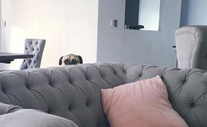 趣看｜有一种眼神，叫节后怨念