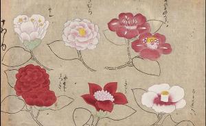看展覽|花花世界之中，窺見東西洋藝術(shù)的交匯