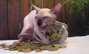 趣看｜見(jiàn)鬼!我好像養(yǎng)了不該養(yǎng)的生物