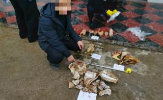 重庆警方侦破野生动物刑事案件38件，收缴两千余只野生动物