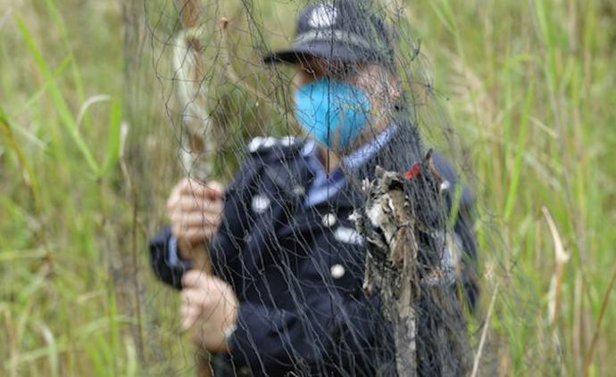 廣東、安徽等多地嚴打野生動物非法交易