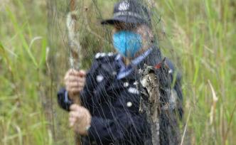 广东、安徽等多地严打野生动物非法交易