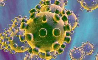 国际病毒分类委员会小组自然子刊发文：为何这样命名新冠病毒