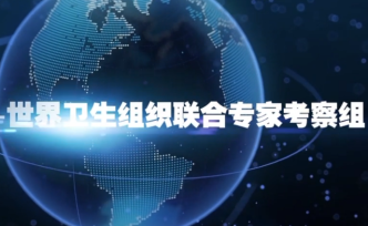微视频丨来自世卫考察团的中国战“疫”一线观察