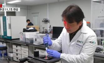 韩国发现新冠病毒抗体，将助力疫苗研发