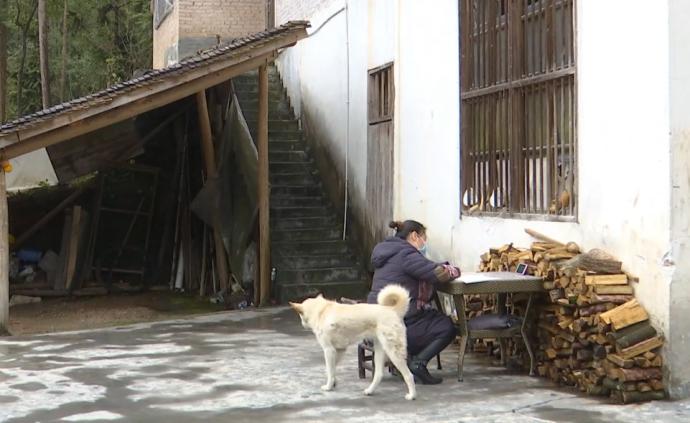 家里网差，老师戴口罩在邻居屋檐下上网课