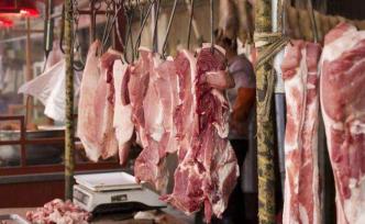 华储网：3月13日中央储备冻猪肉投放竞价交易2万吨