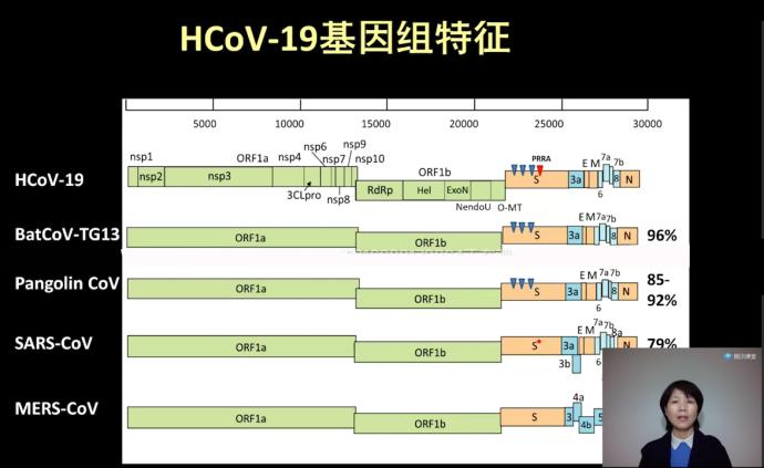 武汉病毒所石正丽：新冠病毒绝非人造