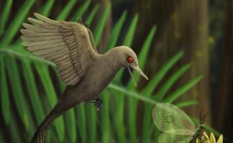 琥珀中的白垩纪生物：世界最小恐龙比蜂鸟小却有100颗牙齿