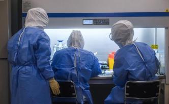 南昌大学研发新冠病毒抗体尿液检测试纸，正扩大测试范围