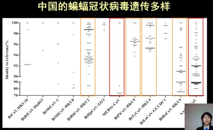 石正丽：出现下个“新”冠状病毒是大概率