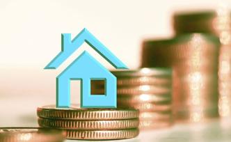 安徽省统计局建议建立完善并逐步实施两孩家庭购房补贴等政策