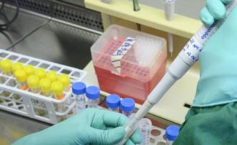 摩纳哥政府首脑、国务大臣泰尔新冠病毒检测呈阳性