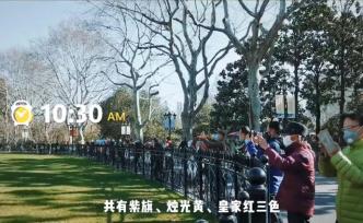 踏青赏花！上海鲁迅公园恢复开放